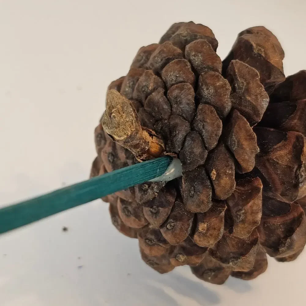 30 Natural Pine Cone Floral Picks 7in Green Wood Stems Wreath Craft Rustic Decor